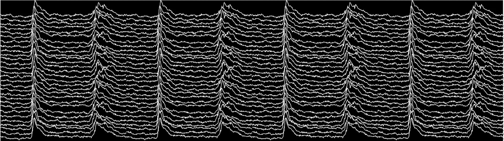Motor neurons EPSPs in response to haltere stimulation